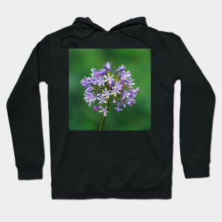 Agapanthus in Bloom Hoodie